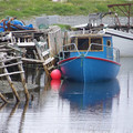 100_1109.jpg
